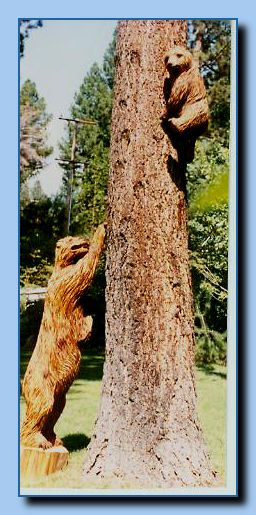 1-55 bear attached to tree,  leaning